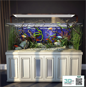 Aquarium 3
